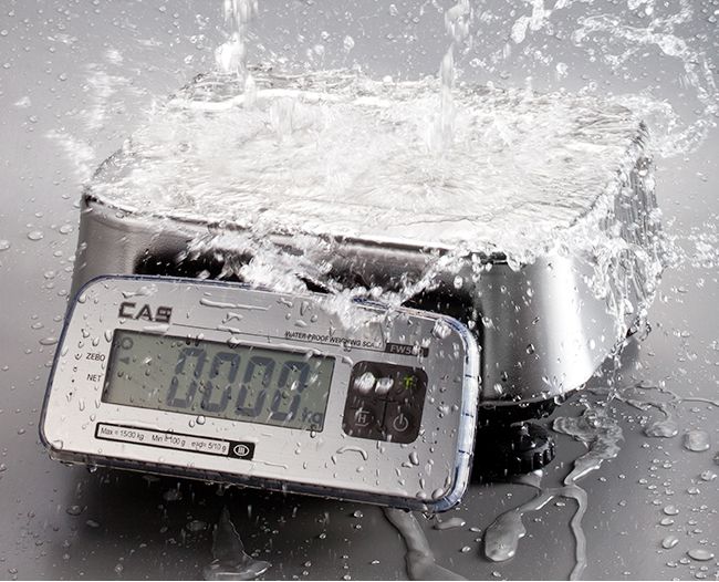 CÂN ĐIỆN TỬ CAS FW500