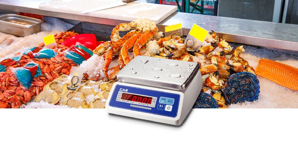 CÂN ĐIỆN TỬ CHỐNG NƯỚC CAS SWII-EW